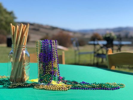 Foley Estates Mardi Gras 2018 4